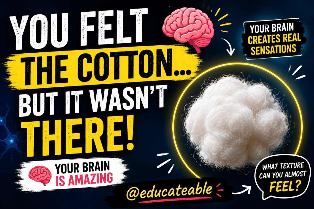Did You Really Feel the Cotton? How Your Brain Creates Sensations That Aren’t&nbsp;There